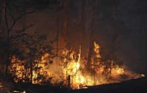 Australians sue Singapore Power over 2009 firestorm