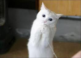 Please Kind Sirs (poem)