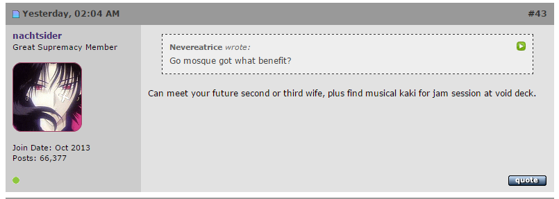 Alright to have racist and offensive comments on HWZ?