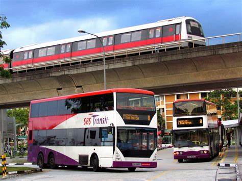 Streamline the bus network