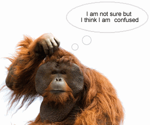 To become a politician, must learn how to count first….