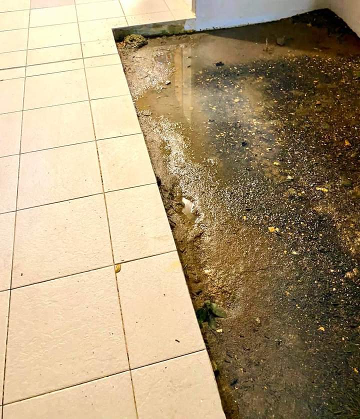 Poor drainage issues – why no action taken after 7 years?