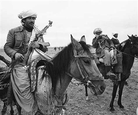 Shaggy Warriors On Scooters And Donkeys II