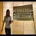 Temasek Holdings wants Temasek Review website to change its name