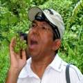 Yaacob Ibrahim: “Impossible” to keep Singapore completely flood-free